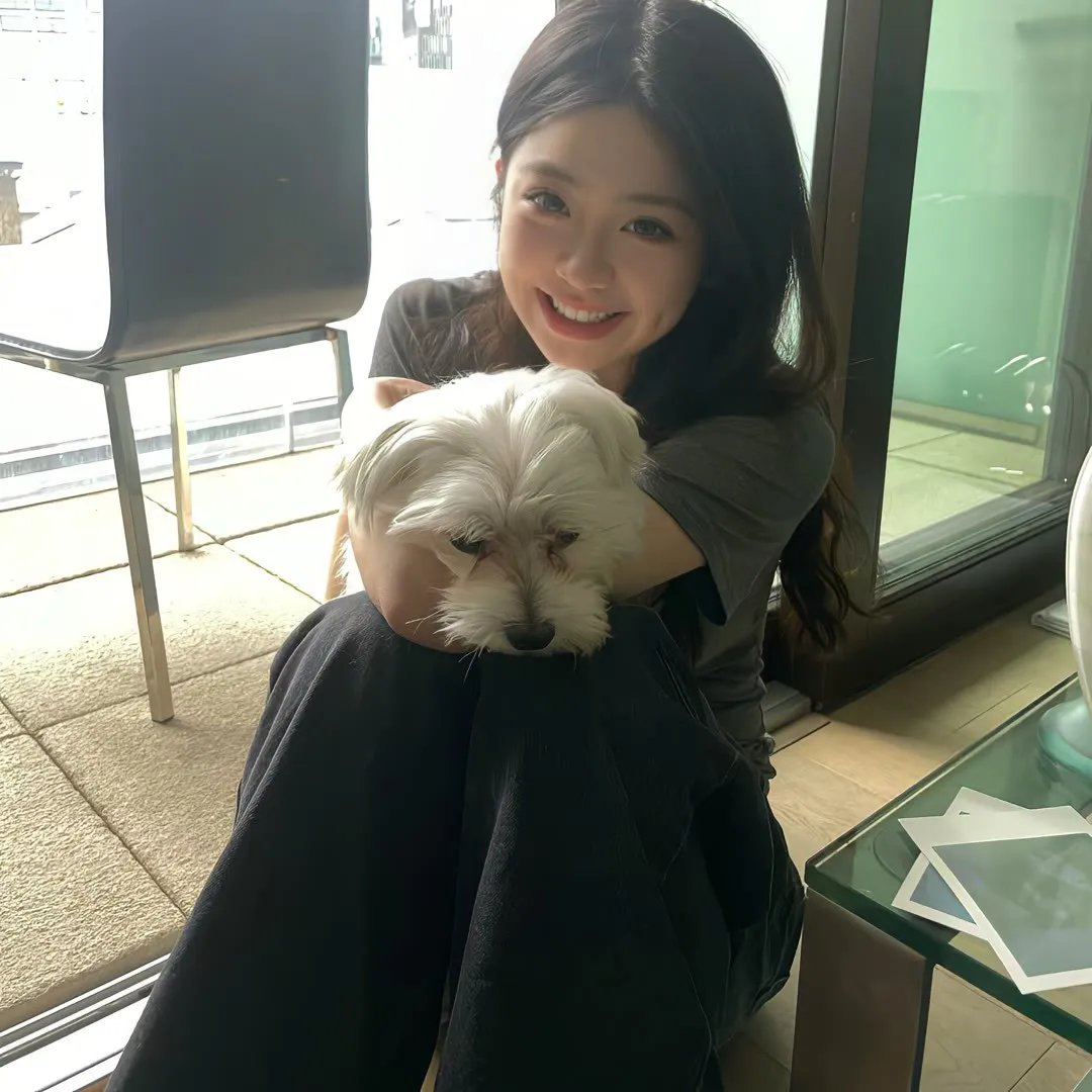 猎犬强盗